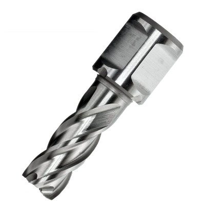 Cutter HSS - M2, 12 x 30mm, Annular Or Broach Cutter Slugger Bit